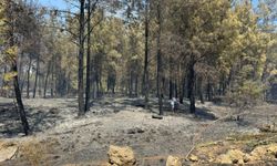 GÜNCELLEME 2 - Antalya'da yerleşim yerleri yakınında çıkan yangın kontrol altına alındı