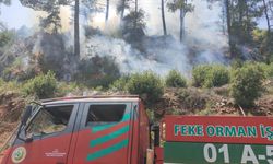 GÜNCELLEME - Adana'da çıkan orman yangınına müdahale ediliyor