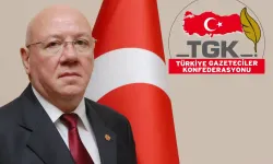 TGK Genel Başkanı Nuri Kolaylı: "Basın Sektörü Ekonomik Darboğazda"