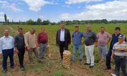 Gürer: “Patates Üreticisi de Tüketicisi de Dertli”