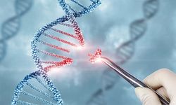 Bilim Dünyasını Sarsan Teori!