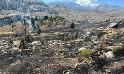 Alanya'da makilik alanda çıkan yangın kontrol altına alındı