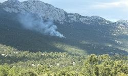 Antalya'nın Akseki ilçesinde orman yangını çıktı