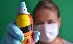 Evde Karınca ve Böceklerden Kurtulmanın Yolları