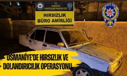 Osmaniye'de Hırsızlık ve Dolandırıcılık Operasyonu