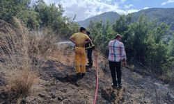 Hatay'da otluk alanda çıkan yangın söndürüldü