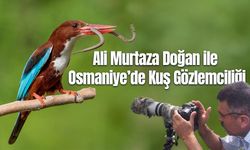 Ali Murtaza Doğan ile Osmaniye’de Kuş Gözlemciliği