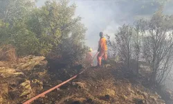 GÜNCELLEME - Antalya'da ormanlık alanda çıkan yangın kontrol altına alındı