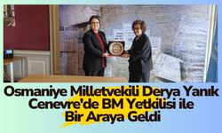 Derya Yanık Cenevre'de BM Yetkilisi ile Bir Araya Geldi