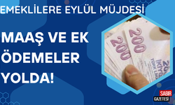 Emeklilere Eylül Müjdesi: Maaş ve Ek Ödemeler Yolda!