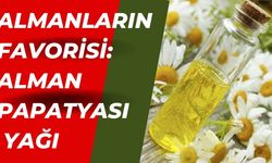 Almanların Favorisi: Alman Papatyası Yağı ile Cilt Sağlığınızı Mükemmelleştirin