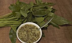 Tırşik: Pancarın Şifaya Yolculuğu