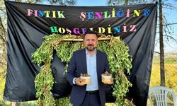 Ali Bozlu köyü’nde 2. Fıstık festivali coşkusu