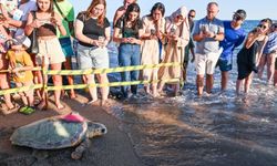 Antalya'da tedavileri tamamlanan iki caretta caretta denize bırakıldı