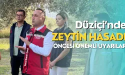 Düziçi'nde Zeytin Hasadı Başlıyor: Müdürden Önemli Uyarılar