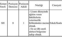 Reyhanlı Belediyesi’nden 60 KPSS Puanıyla Veteriner Hekim Alımı İlanı