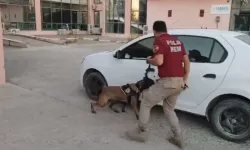 Osmaniye’de Zehir Tacirlerine Darbe! 33 Kilo 400 Gram Skunk Ele Geçirildi