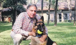 Ratan Tata’dan Sadık Dostu Tito’ya Büyük Jest: Mirasını Köpeğine Bıraktı