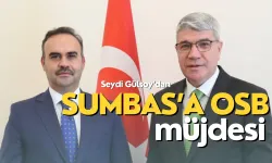 Seydi Gülsoy'dan Sumbas’a OSB Müjdesi