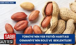 Türkiye’nin Yer Fıstığı Haritası: Osmaniye’nin Rolü ve Gelecek Beklentileri