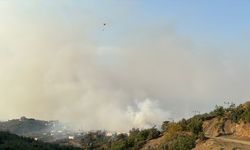 GÜNCELLEME 2 - Hatay'da çıkan orman yangını söndürülmeye çalışılıyor