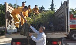 Mersin Bozyazı'da vatandaşlara fidan dağıtıldı