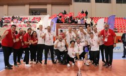 Oturarak Voleybol Erkek Milli Takımı, Avrupa Şampiyonası B kategorisinde şampiyon oldu