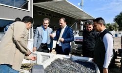 Kaymakam Erdinç Dolu’dan Zeytinyağı Üreticilerine Destek Ziyareti