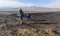 Kahramanmaraş'ta tarlada fil kemikleri bulundu