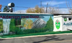 Düziçi’nde Sanat ve Estetik Dokunuşlar Devam Ediyor