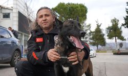 Isparta Emniyetinin göz bebeği "Milon" üçüncü kez ayın narkotik köpeği seçildi