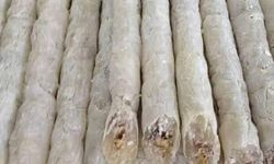 Çocukluğumuzun Lezzeti  Şeker Sucuğu ve Osmaniye ile Anadolu’daki Yeri