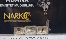 Adana’da kilolarca esrar, bonzai ve binlerce hap ele geçirildi: 55 tutuklama