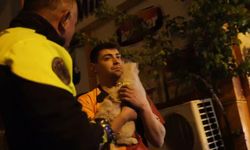 Nevşehir’de Köpeğiyle Kaza Yapan Sürücü Alkollü Çıktı