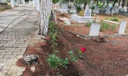 Başkan Yumrutepe: “Mezarlıklarımızda huzurlu ziyaretler için çalışıyoruz”