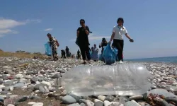 Mersin'de öğrenciler deniz kaplumbağalarının yuvalama alanlarını temizledi