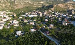 Hatay’da Kuduz Alarmı  4 Mahalle Karantinaya Alındı