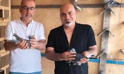 Posta Güvercini İran Sınırından Osmaniye’ye Uçtu