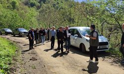Samsun'da kestane zararlısı ile mücadele için doğaya faydalı böcek salındı