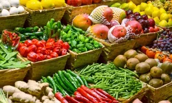 Dondurucuya Konulmaması Gereken 7 Besin Açıklandı