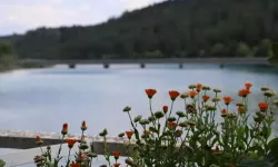 Adana’da Doğa Tutkunlarının Yeni Adresi