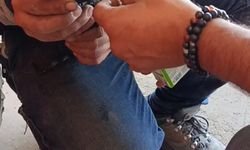 EYA Elektrik Ekibi, Mersin Aves Fabrikası’nda Kediyi Kurtardı