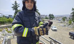 Hatay'da ağaçtaki ipe dolanan kargayı itfaiye kurtardı
