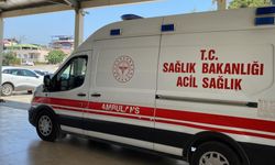 Adana'da orman yangını çıktı