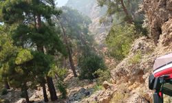 Antalya'da otobüste başlayıp ormana sıçrayan yangın söndürüldü