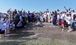 Antalya'da uydu izleme cihazı takılan "Flora" ve "Fauna" adlı caretta carettalar denize bırakıldı