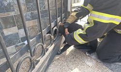 Arsuz'da bahçe kapısına sıkışan köpek kurtarıldı