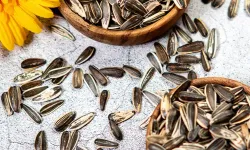 Ay Çekirdeği Osmaniyelilere Şifa Saçıyor: Günde 30 Gram Yeter