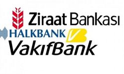 Osmaniyelilere Kamu Bankalarından 100 Bin TL Nefes Kredisi