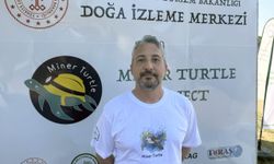 GRAFİKLİ - Uydudan izlenen "Gümüş"ün sıra dışı yolculuğu küresel ısınmanın etkilerini ortaya koydu